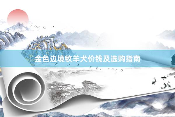 金色边境牧羊犬价钱及选购指南