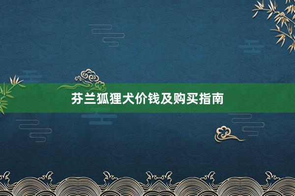 芬兰狐狸犬价钱及购买指南