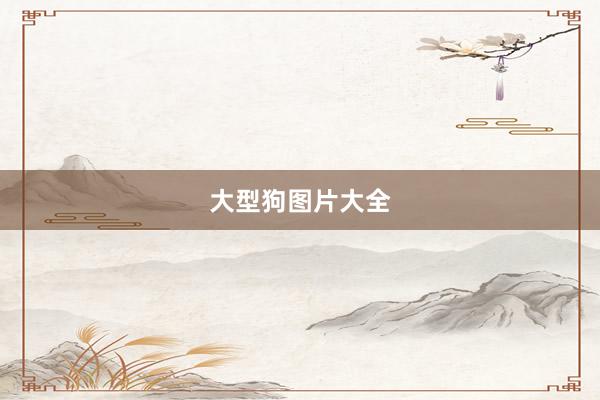 大型狗图片大全